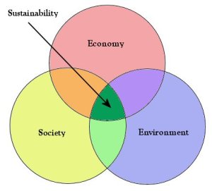 Sustainability diagram - Sustainability concept | My Green Nook